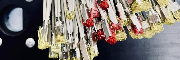 Wiązka kabli sieciowych z wtykami RJ45